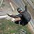 Raise Funds With a Charity Sky Dive